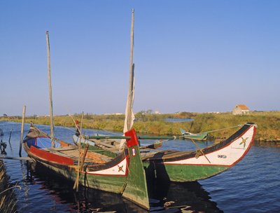 Moliceiros in a Canal by Unbekannt Unbekannt